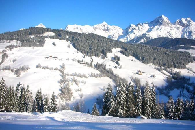 Ferienwohnung Klappacher Maria Alm am Steinernen Meer Bagian luar foto