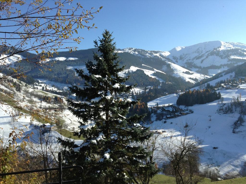 Ferienwohnung Klappacher Maria Alm am Steinernen Meer Bagian luar foto