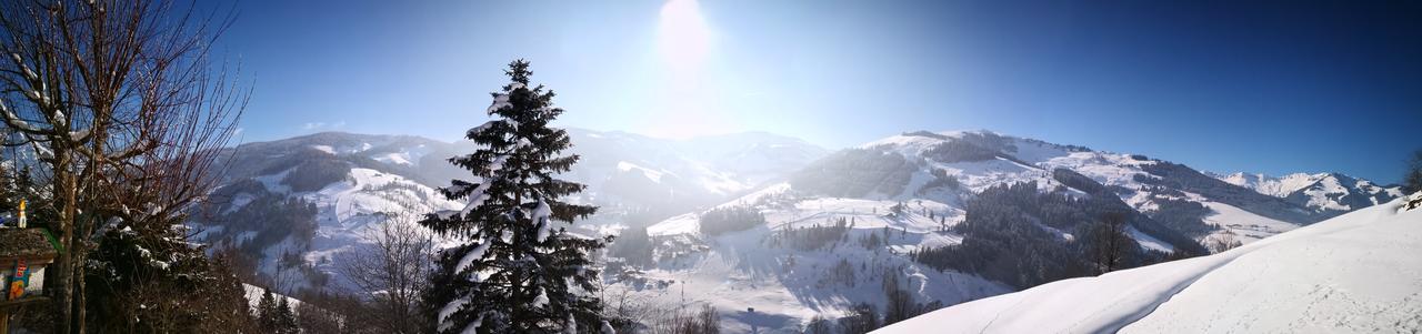 Ferienwohnung Klappacher Maria Alm am Steinernen Meer Bagian luar foto