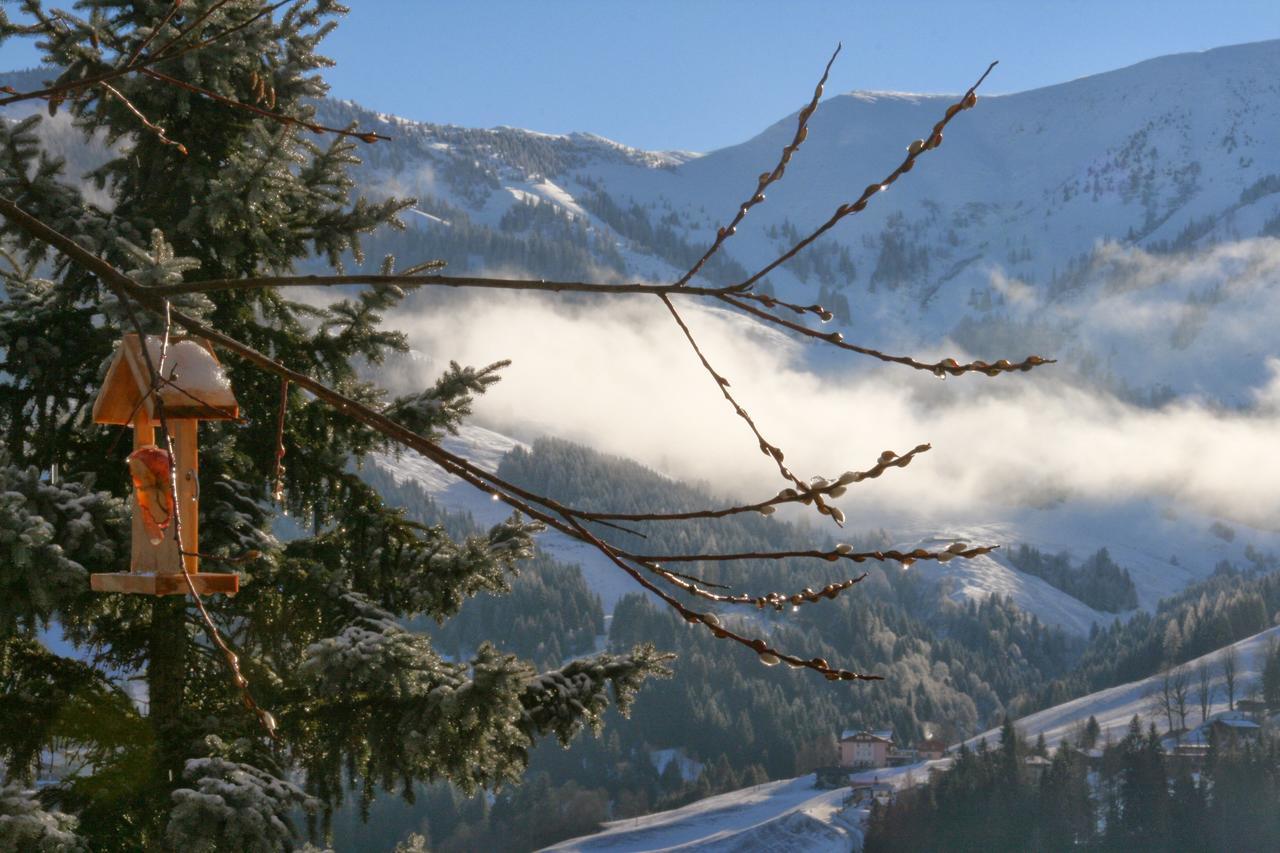 Ferienwohnung Klappacher Maria Alm am Steinernen Meer Bagian luar foto